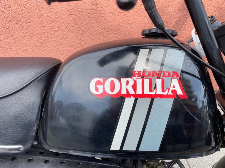 GORILLA